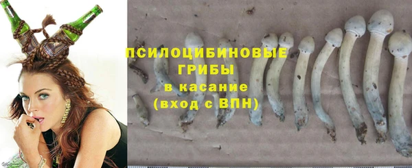 СК Кодинск