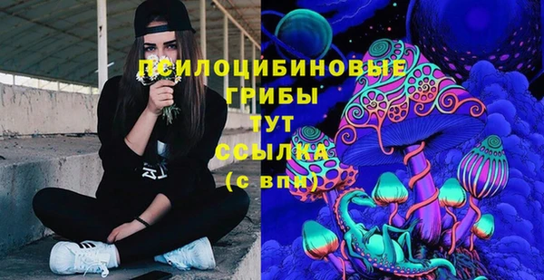 СК Кодинск