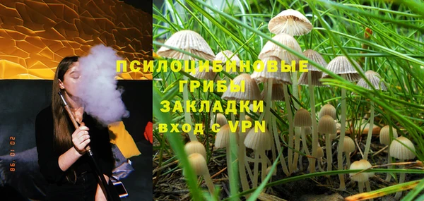 меф Козельск