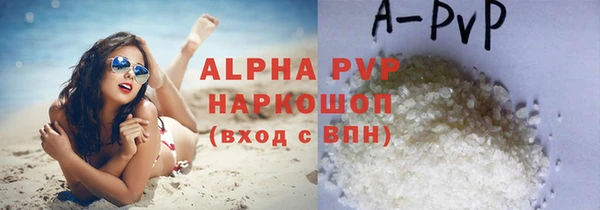 СК Кодинск