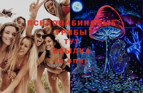 трава Козловка