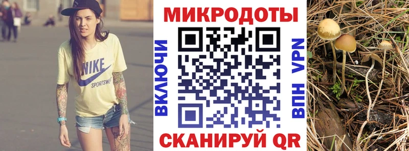 Купить где  Волчанск  Галлюциногенные грибы Cubensis 